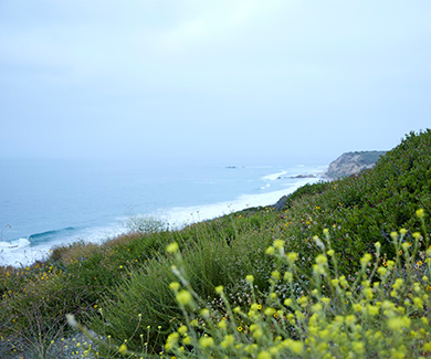 Image of the coastal hills near a Newport West Coast location.