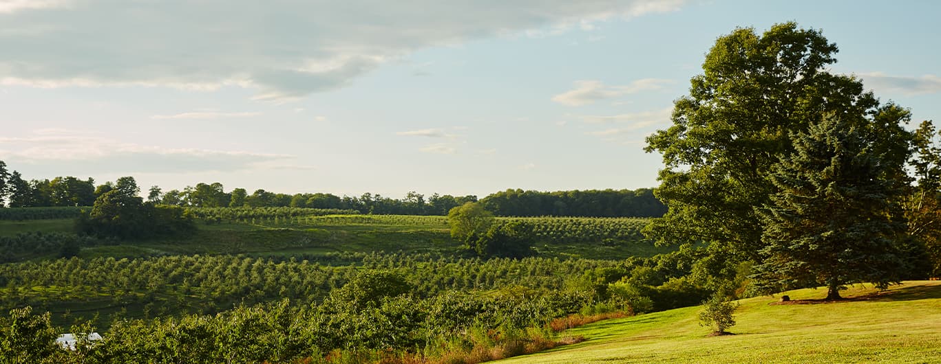 Creation of Newport Institute Announced | Newport Healthcare